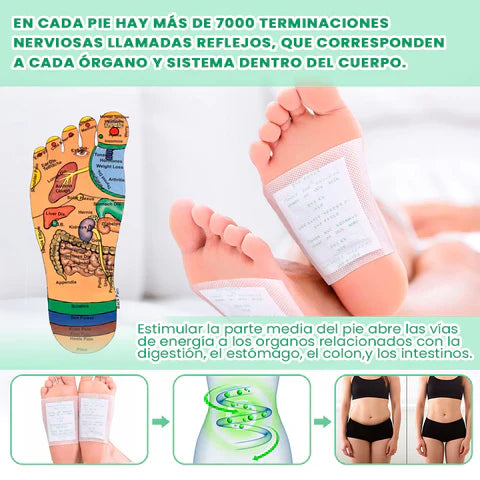👣🌿100 Parches para pies Kinoki - Alivia Dolores y Desintoxica (100 parches) 🌿👣