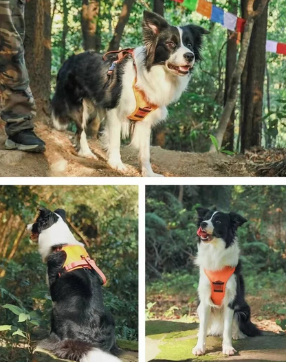NUEVO ARNÉS CON CORREA RETRÁCTIL PARA PERRO  (TALLA L) (AZUL)